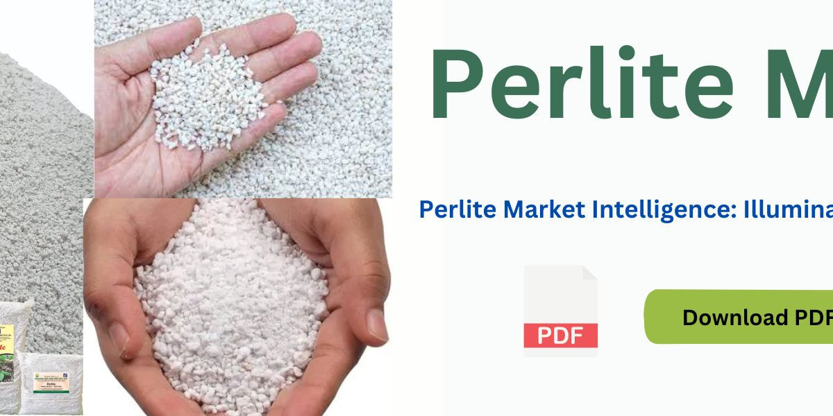 Perlite Market Analysis: Key Players, Trends, and Future Prospects