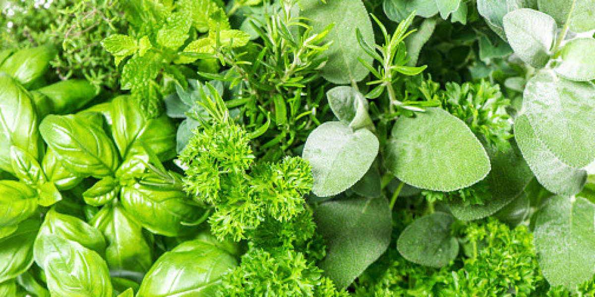 Fresh Herbs Market Report with Regional Growth and Forecast 2030