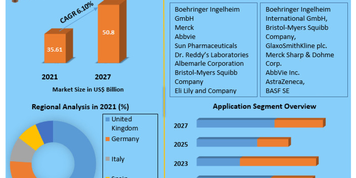 Europe Active Pharmaceutical Ingredients Market Business Strategies, Revenue and Growth Rate Upto 2029