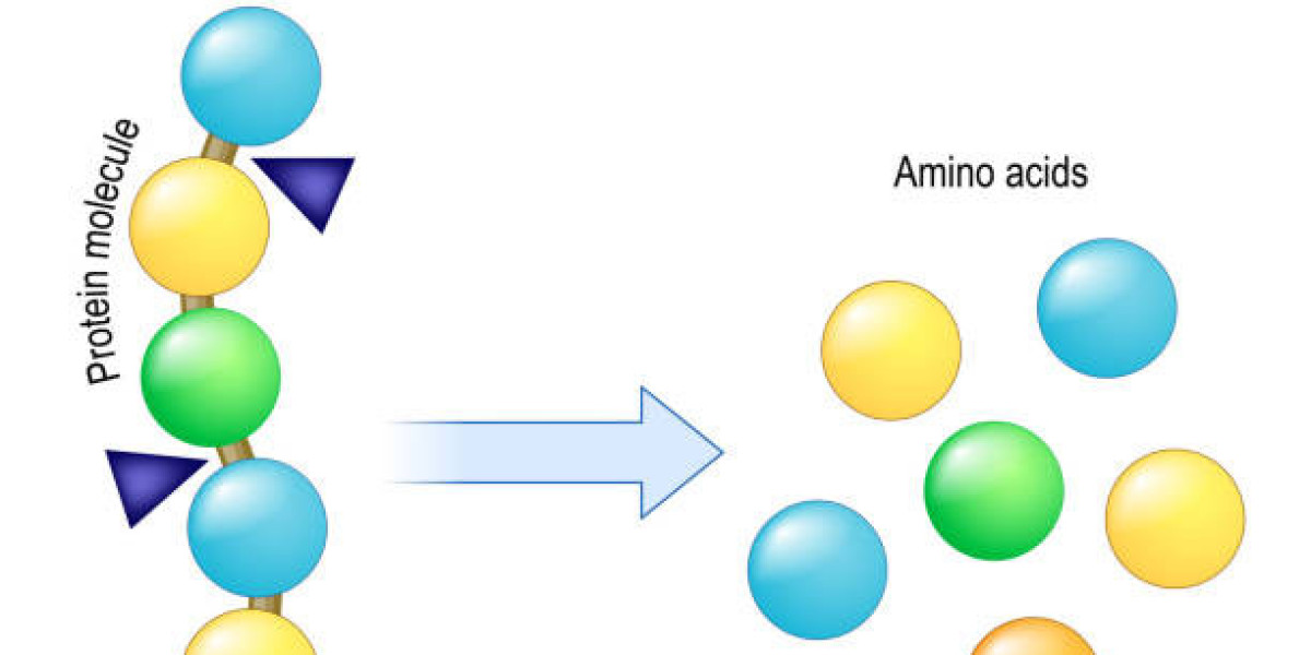 Proteases Market Competitive Intelligence And Tracking Report 2030
