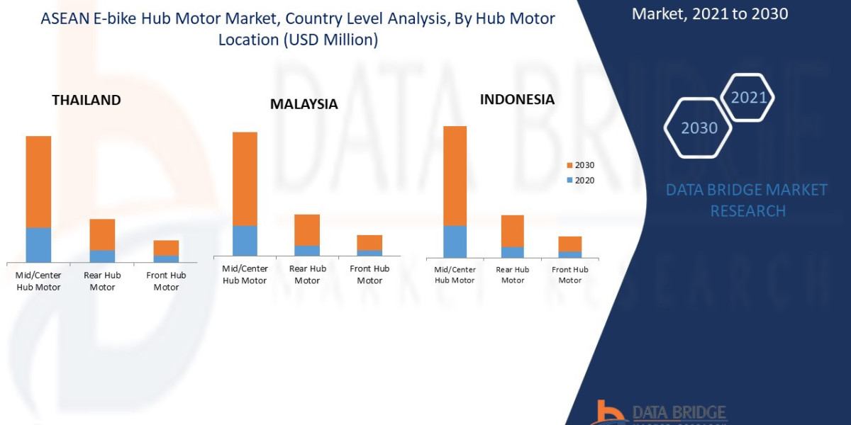 ASEAN E-Bike Hub Motor Market Trends, Share, Industry Size, Growth, Demand, Opportunities and Forecast by 2030.