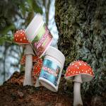 Amanita Mushroom Gummies Profile Picture