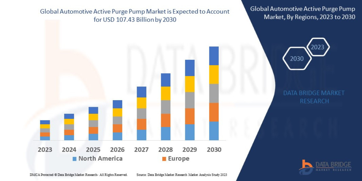 Automotive Active Purge Pump Market Growth, Segments and Forecast by 2030.