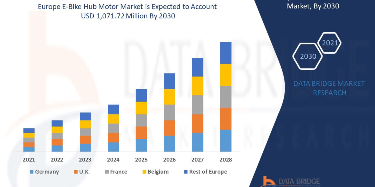 Europe E-Bike Hub Motor Market Industry Demand, Growth Analysis and Forecast By 2030.