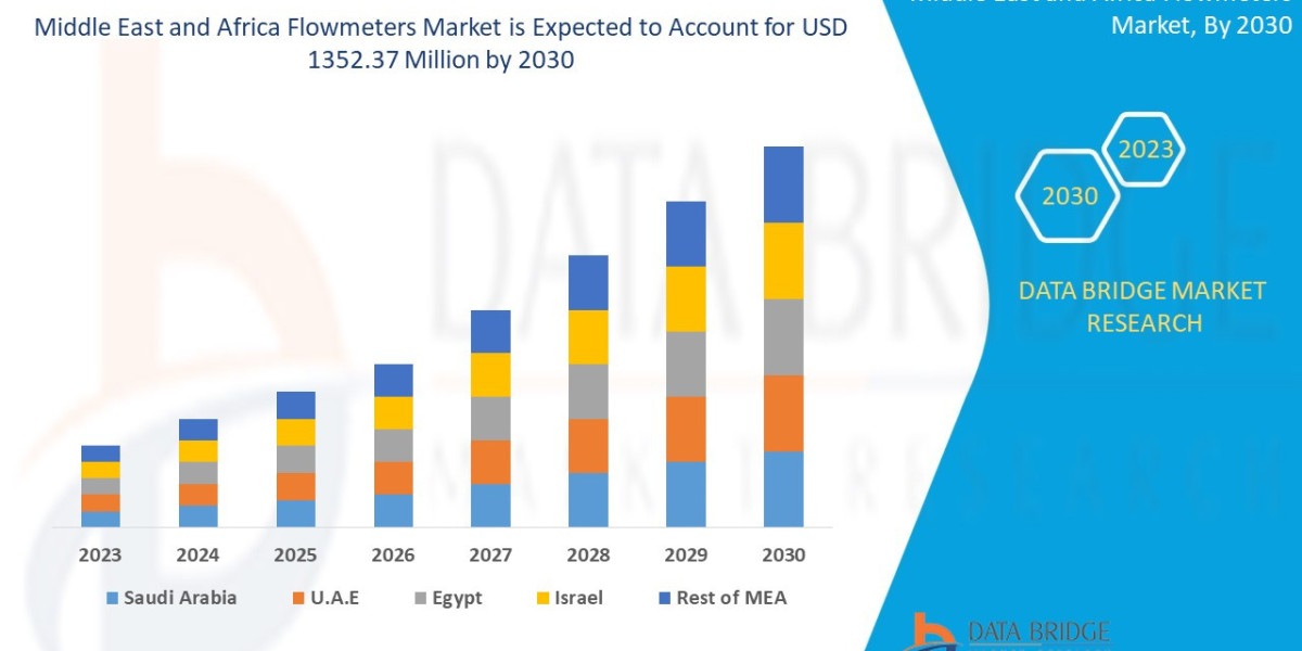 Middle East and Africa Flowmeters Market Industry Demand, Growth Analysis and Forecast by 2030.