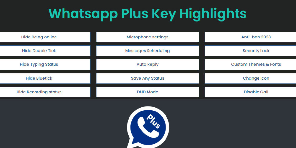 Privacy and Security in Blue WhatsApp Plus