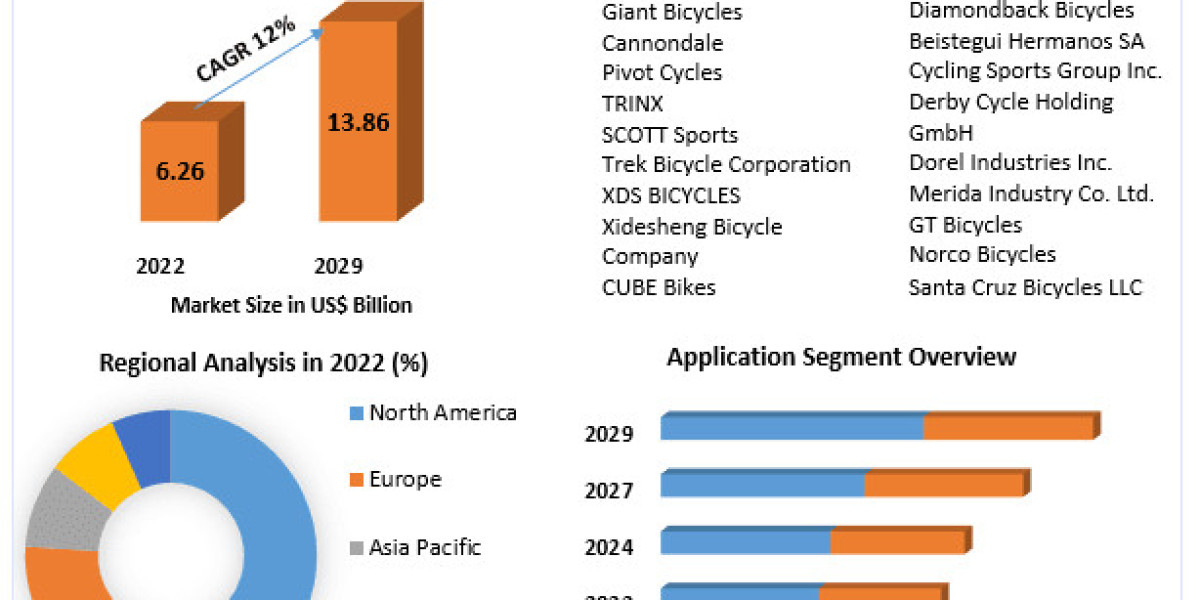 Mountain Bike Market Size & Share to See Modest Growth Through 2029