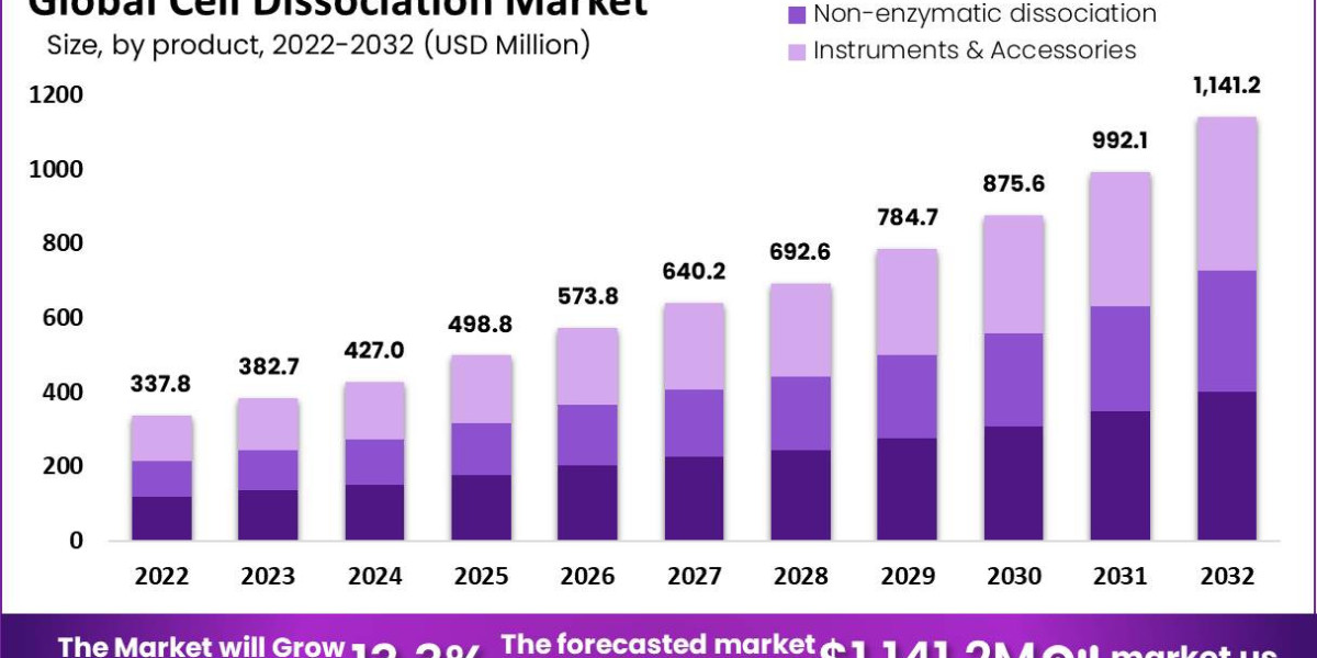 Hospice Market Future Prediction Report 2023-2032