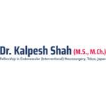 Kalpesh Shah Profile Picture