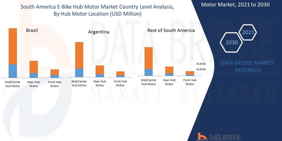 South America E-bike Hub Motor Market Forecast to 2030: Key Players, Size, Share, Growth and Trends.