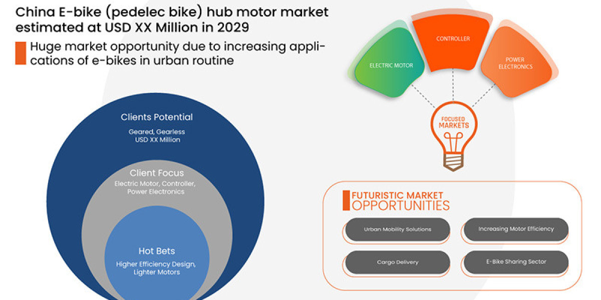 China E-Bike (Pedelec Bikes) Hub Motor Market Latest Innovation and Upcoming Demand by 2030.