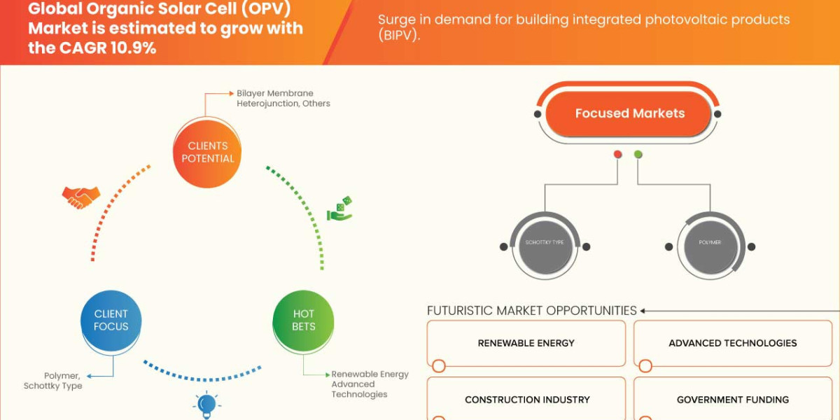 Organic Solar Cell (OPV) Market Business Strategies and Forecast by 2030.