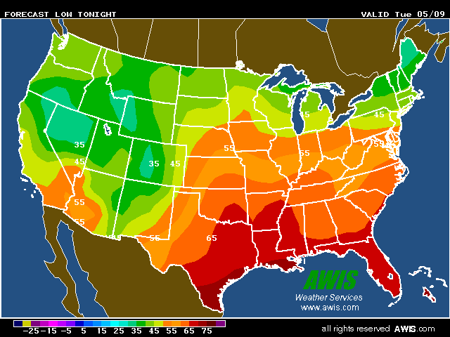 Hourly and Past Weather Data’s Role in Climate Understanding - Blogstudiio