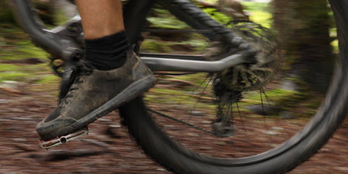 Mountain Bike Footwear and Socks Market Size, Product Trends, Key Companies, Revenue Share Analysis By 2030