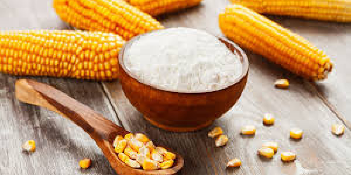 Modified Starch Market Size, Growth, Demand, Top Manufacturers Data, Consumption Status, Share