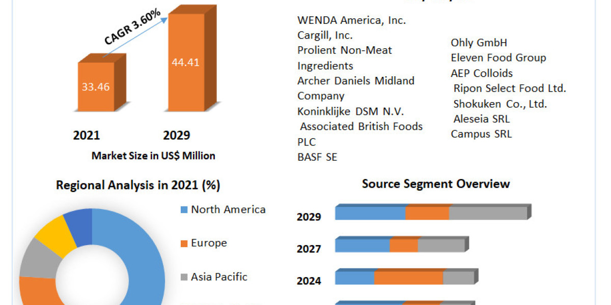 Non-Meat Ingredients Market	2023 share Leaders, Growth,  Application, and Growth Rate Upto 2029