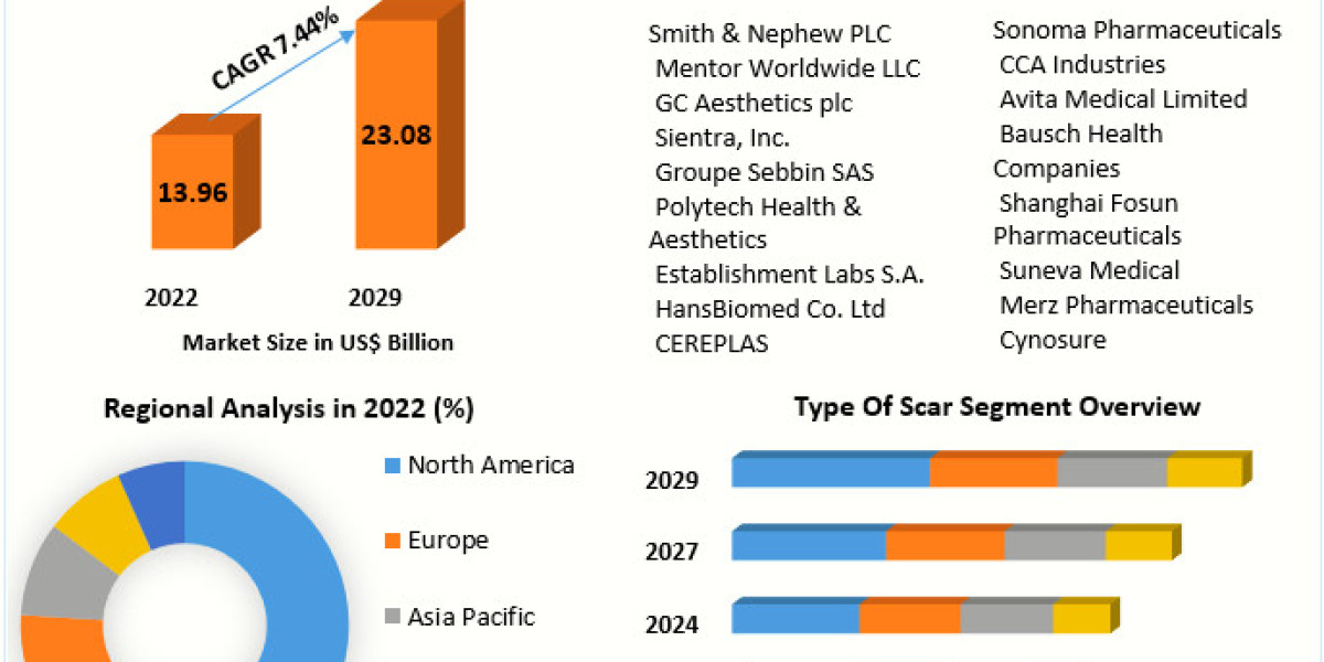 Scar Treatment Market Assessing the Competitive Landscape-2029