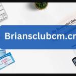 briansclub07 profile picture