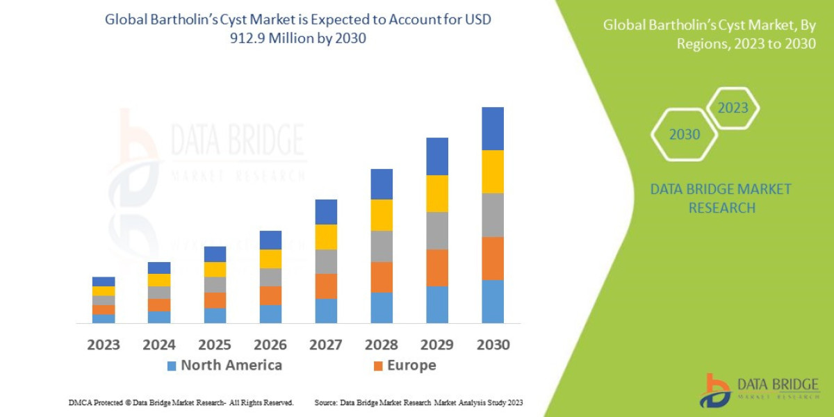 Bartholin’s Cyst Market Key Players, Size, Share, Growth, Trends and Opportunities