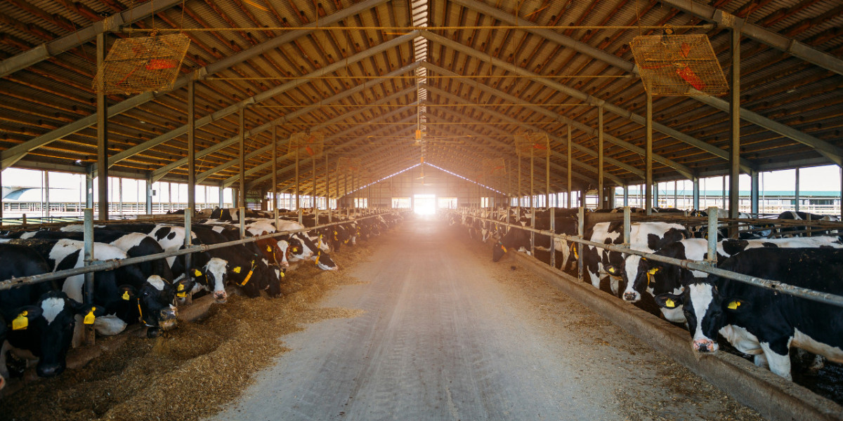 Behind the Dairy Curtain: Unveiling the Realities of the Industry