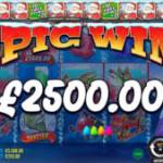 Big Bass Bonanza Profile Picture