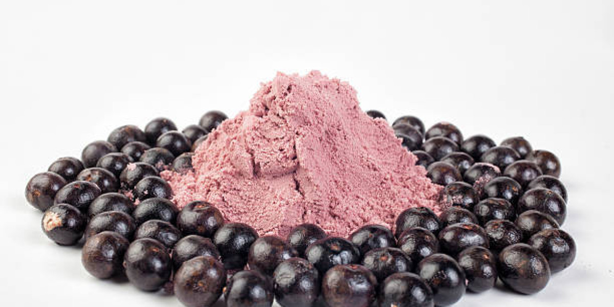 Fruit Powder Market Insights: Companies with Revenue and Forecast 2030