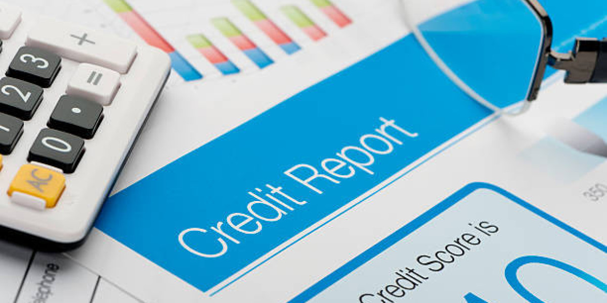 Experian credit report