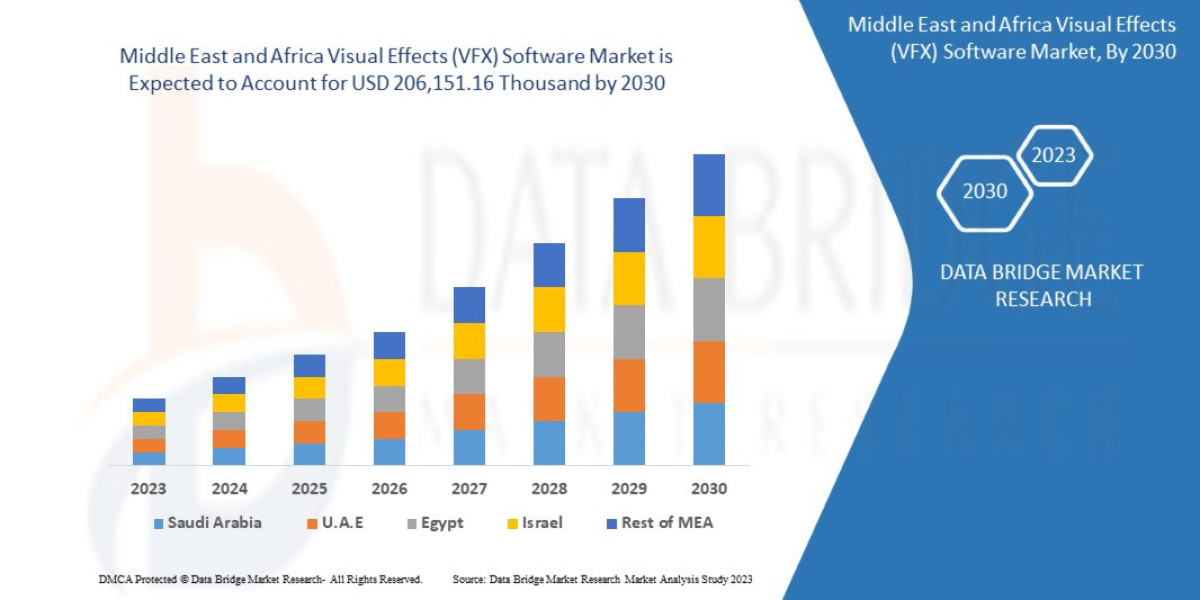 Middle East and Africa Visual Effects (VFX) Software Market Key Strategies, Upcoming Trends and Regional Forecast