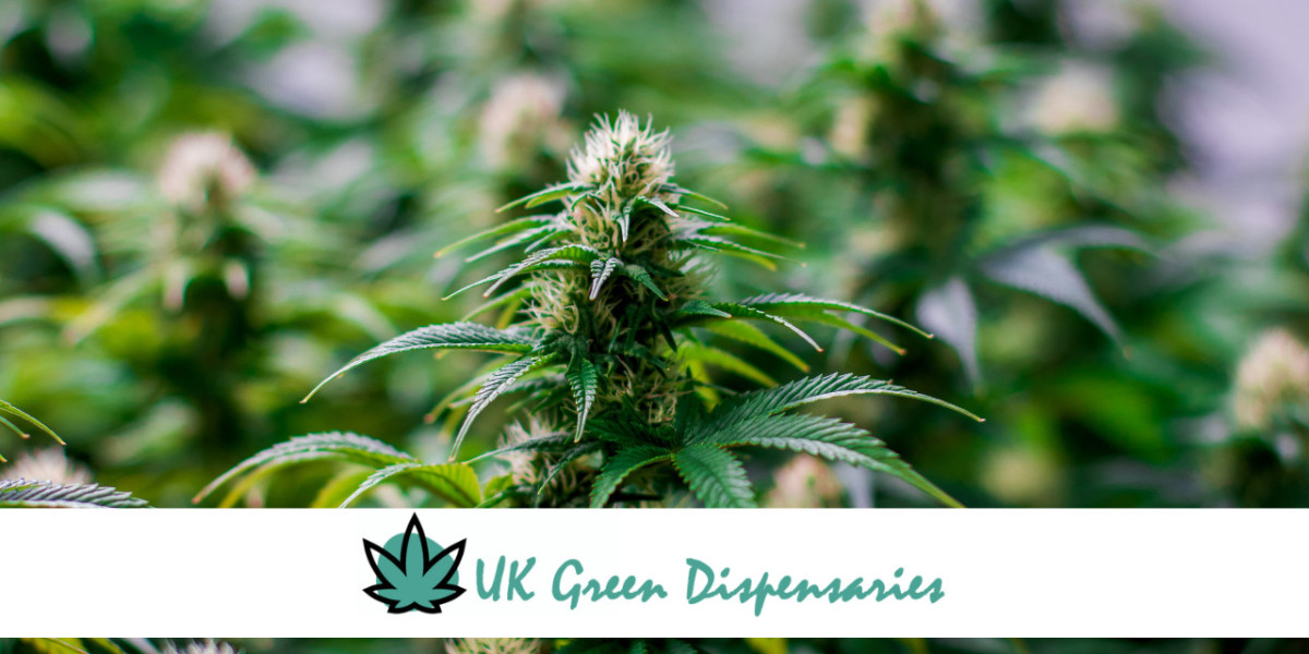 Exploring the Benefits of Buying Cannabis from Licensed Sellers in the UK