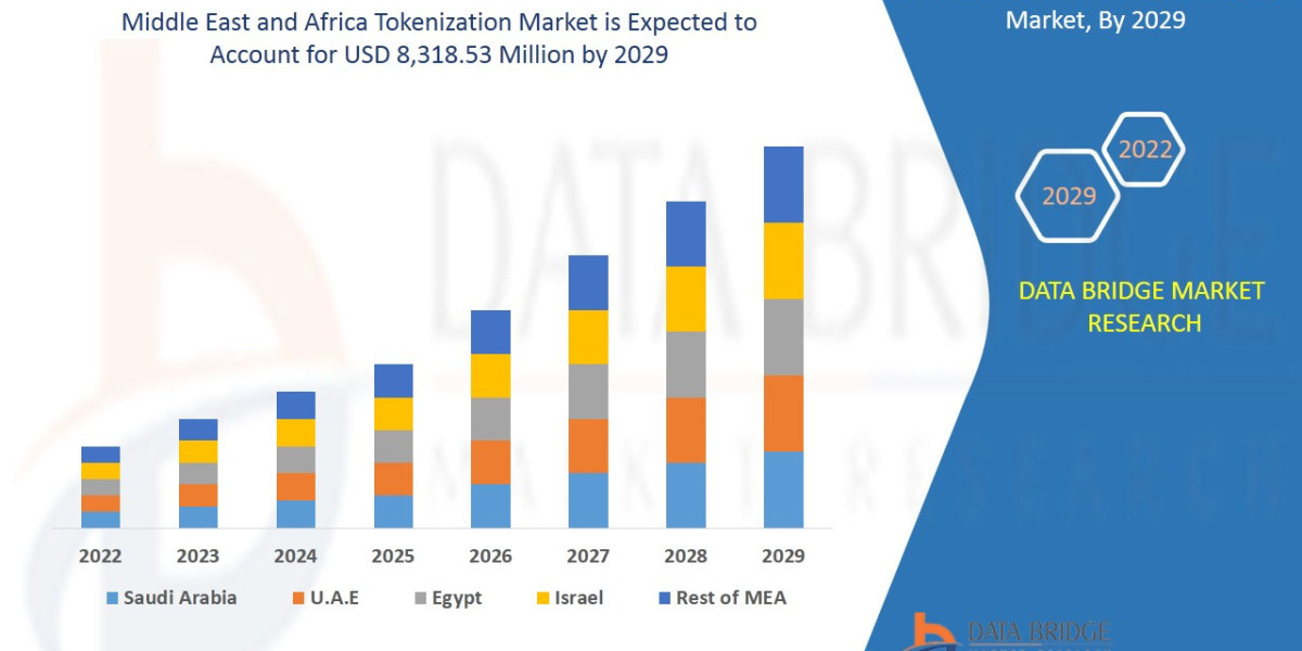 Middle East and Africa Tokenization Market Key Strategies, Upcoming Trends and Regional Forecast