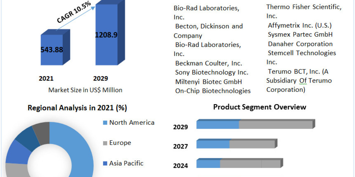 Cell Sorting  Market Predictions for 2029: Industry Size, Key Insights, and Forecast Trends