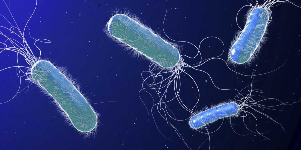 Pseudomonas Aeruginosa Treatment Market Players Share Forecast Covering Growth Inclinations & Development