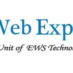 webexpert india Profile Picture