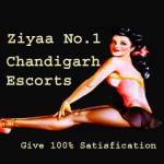Ziyaa Khan Profile Picture