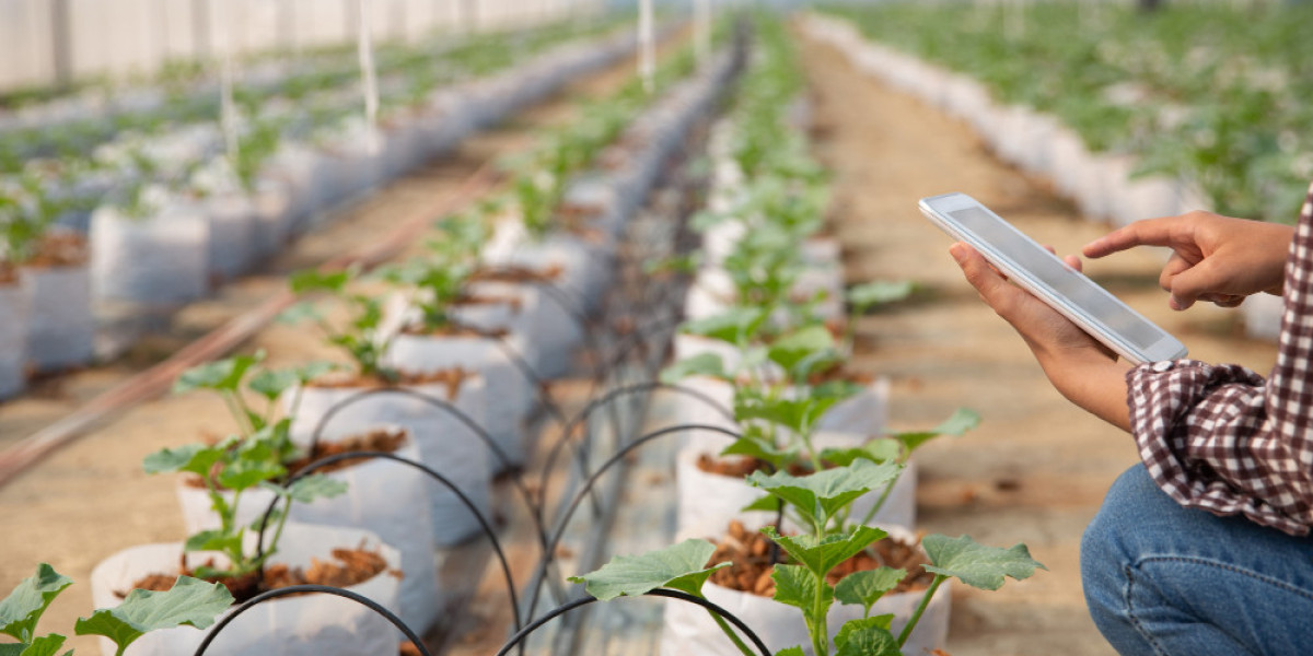 Wireless Smart Irrigation System Market Outlook, Risks and Opportunities Through 2032