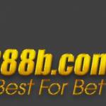 888B Profile Picture