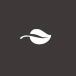 Grassy Life Weight Balance Profile Picture