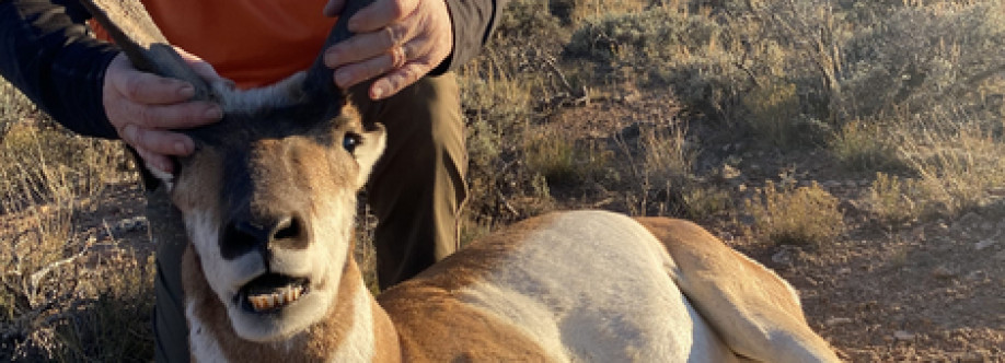 Hutch on Hunting Cover Image