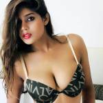 escorts mumbai profile picture