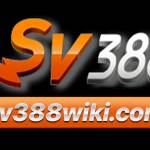 SV388 Profile Picture