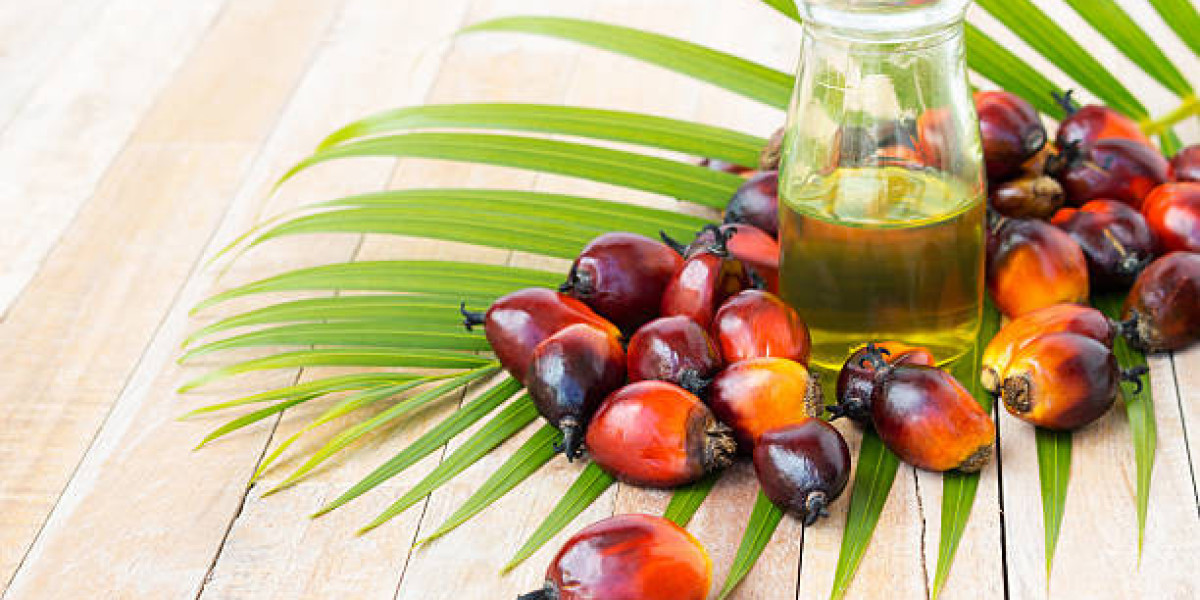 North America & Europe Palm Derivatives Market CAGR, Regional Statistics, Key Players, and Forecast 2028