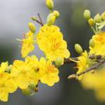 trankhoa856325 profile picture