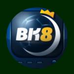 bk8vntoday profile picture