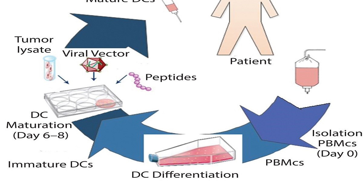 Cell Therapy Market Share, Revenue and Growth Analysis Report