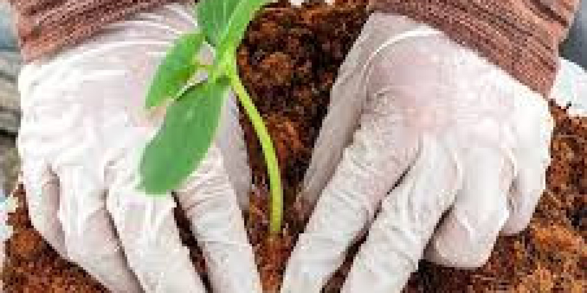 Coco Coir Market Report: Latest Industry Outlook & Current Trends 2023 to 2032