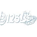 123B profile picture
