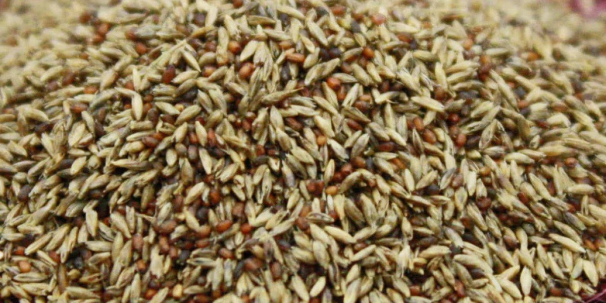 Malt Alkali Market | Global Industry Growth, Trends, and Forecast 2023 - 2032