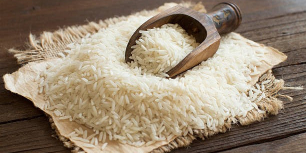 Organic Rice Protein Market | Global Industry Growth, Trends, and Forecast 2023 - 2032