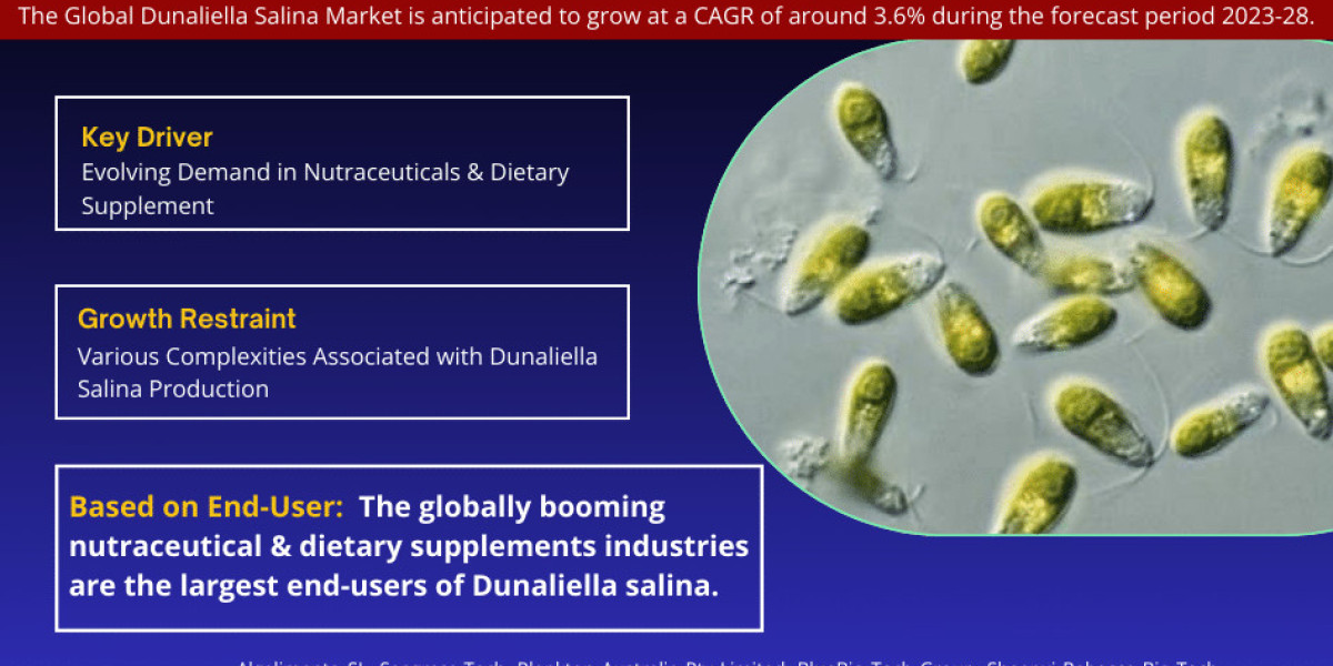 By 2028, the Dunaliella Salina Market will expand by Largest Innovation Featuring Top Key Players