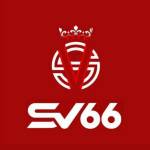 SV66 profile picture